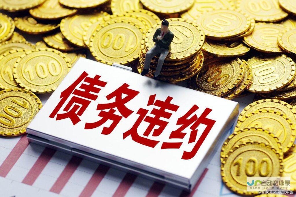公司规模和经验：公司的规模和经验是否与您的项目相匹配。