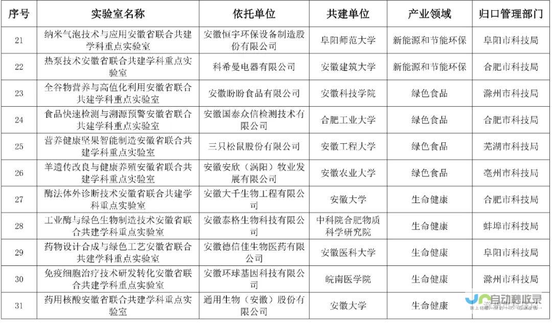 cnfg安徽网站建设 -提升品牌形象，拓展线上业务，从零开始打造您的专属网络平台